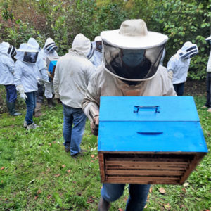 Lire la suite à propos de l’article Mise en place de hausses après une division