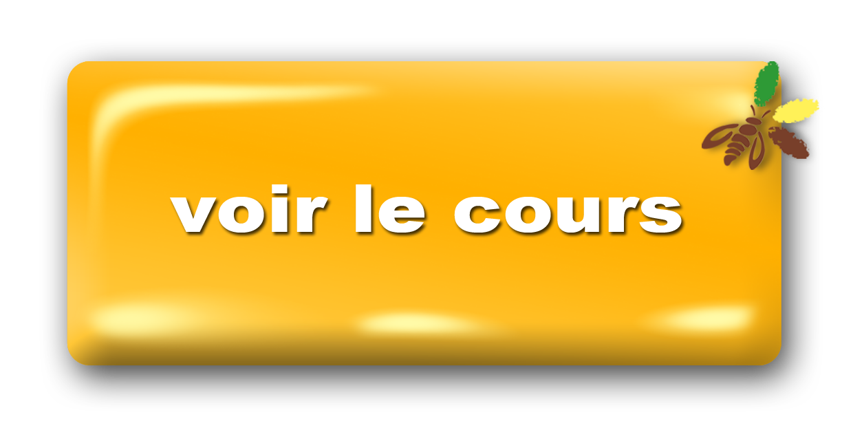 Bouton-voir-le-cours.png